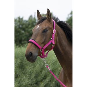 510249235-ensemble-licol-et-longe-pour-cheval-large-norton-framboise