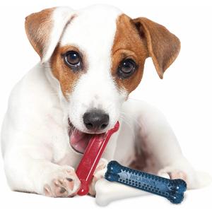 983913eu-jouet-pour-chien-nylabone-small-dog-dental-blue-chew-bacon-chicken-moderate-chew-origin-xs-rouge-blanc-bleu-xs