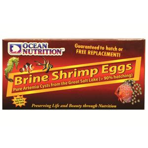 oc16092-oeufs-d-artemia-ocean-nutrition-marron-50-g