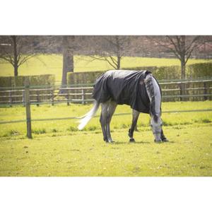 product/p/a/paddock-sports_400025259_noir_2.jpg