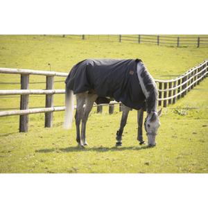 product/p/a/paddock-sports_400025259_noir_3.jpg