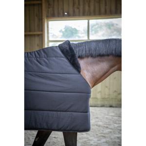 4000172-sous-couverture-pour-cheval-paddock-sports-underblancket-200-g-black