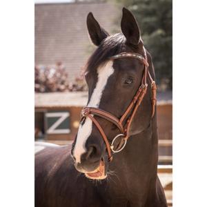 product/p/e/penelope_301_604_314.jpg