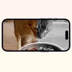 product/p/e/petkit_7659_3.jpg