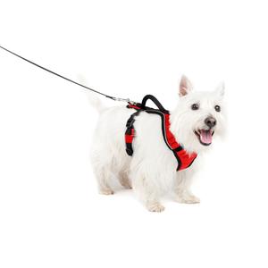 product/p/e/petsafe_cy0571_rouge_3.jpg