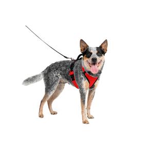 product/p/e/petsafe_cy0572_rood_3.jpg