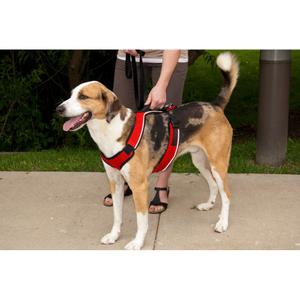 product/p/e/petsafe_cy0573_2.jpg