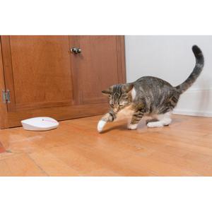 product/p/e/petsafe_cy0599_4.jpg