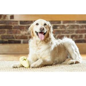 product/p/e/petsafe_cy0604_2.jpg