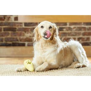 product/p/e/petsafe_cy0605_4.jpg