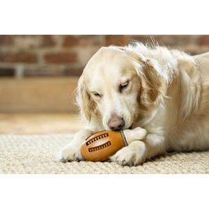 product/p/e/petsafe_cy0608_4.jpg