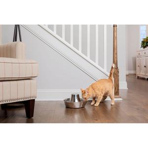 product/p/e/petsafe_cy0707_1.jpg