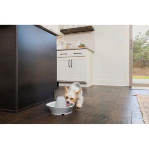 product/p/e/petsafe_cy0708_4.jpg