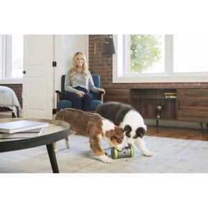 product/p/e/petsafe_cy0710_2.jpg