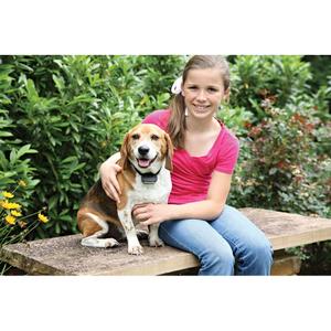 product/p/e/petsafe_cy0917_3.jpg