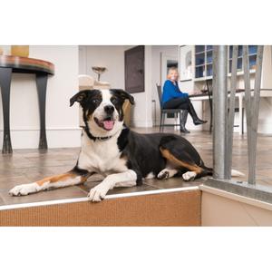 product/p/e/petsafe_cy1057_1.jpg