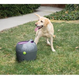 product/p/e/petsafe_cy1074_4.jpg