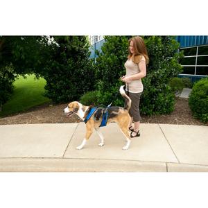 product/p/e/petsafe_cy1164_bleu_7.jpg