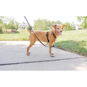 product/p/e/petsafe_cy1225_1.jpg