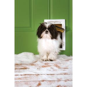 product/p/e/petsafe_cy1257_2.jpg