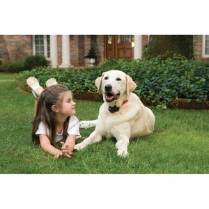 product/p/e/petsafe_cy1664_4.jpg