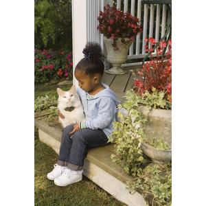 product/p/e/petsafe_cy1667_2.jpg