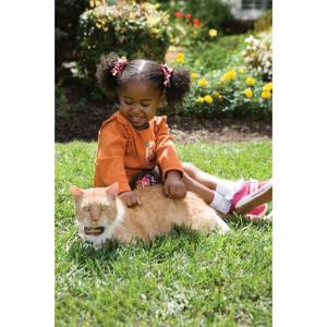 product/p/e/petsafe_cy1667_3.jpg