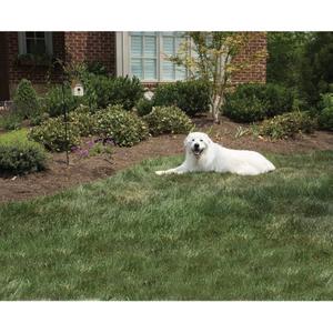 product/p/e/petsafe_cy1894_1.jpg
