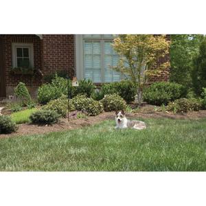 product/p/e/petsafe_cy1894_3.jpg