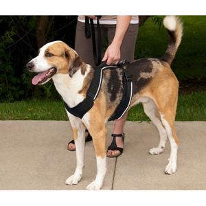 product/p/e/petsafe_cy2023_4.jpg