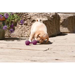 product/p/e/petsafe_cy2646_3.jpg