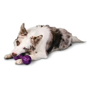 product/p/e/petsafe_cy2646_4.jpg
