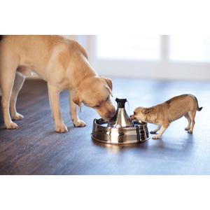 product/p/e/petsafe_cy3091_2.jpg