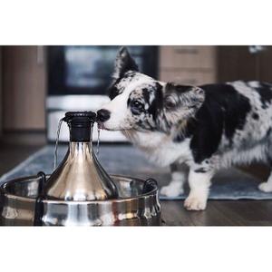 product/p/e/petsafe_cy3091_3.jpg