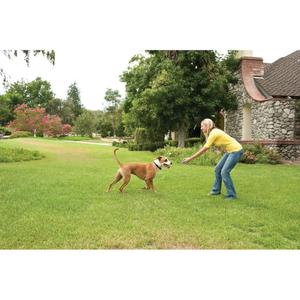 product/p/e/petsafe_cy3327_2.jpg