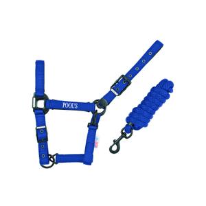 ca00027k-royalblue-licol-pour-cheval-en-nylon-avec-cuir-pool-s-ca00027k-royalblue