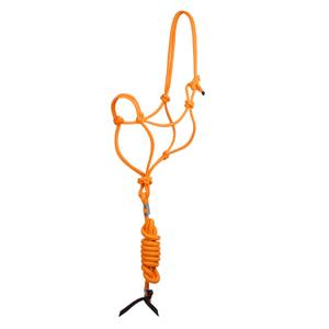 ca00128-orange-ensemble-licol-et-longe-pour-cheval-a-noeud-pool-s-orange-tu