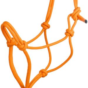 product/p/o/pool-s_ca00128-orange_orange_3.jpg