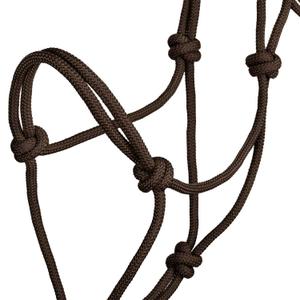 product/p/o/pool-s_ca00129-brown_brown_3.jpg