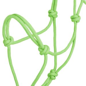 product/p/o/pool-s_ca00129-lime_lime_3.jpg
