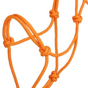 product/p/o/pool-s_ca00129-orange_orange_3.jpg