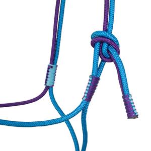 product/p/o/pool-s_plh03003-turquoise_purple_turquoise-purple_2.jpg