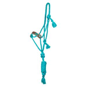 product/p/o/pool-s_plh03004-turquoise_turquoise_1.jpg