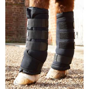 product/p/r/premier-equine_1001-m_4.jpg
