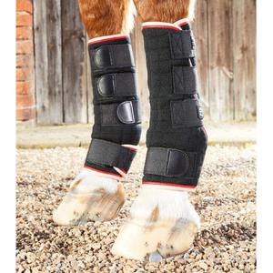 product/p/r/premier-equine_1002-lblk_black_3.jpg