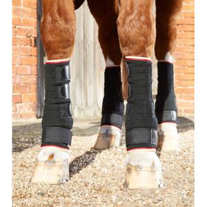 product/p/r/premier-equine_1002-lblk_black_4.jpg