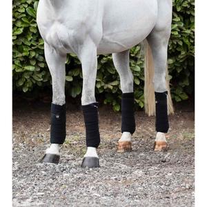 product/p/r/premier-equine_1006blk_black_2.jpg