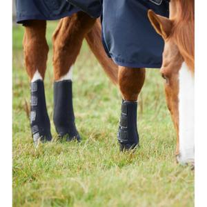 product/p/r/premier-equine_1011xl_2.jpg