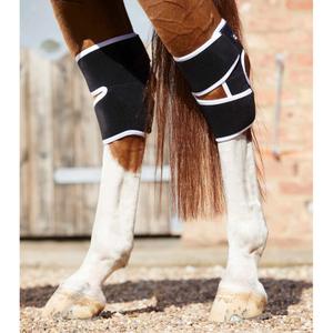 product/p/r/premier-equine_1016_1.jpg