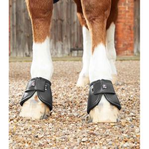 product/p/r/premier-equine_1020xlblk_3.jpg